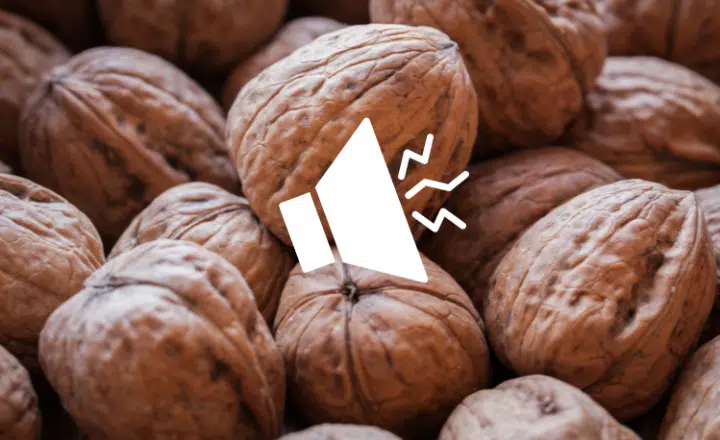 SAYING OF THE DAY: Mucho ruido y pocas nueces - Easy Español