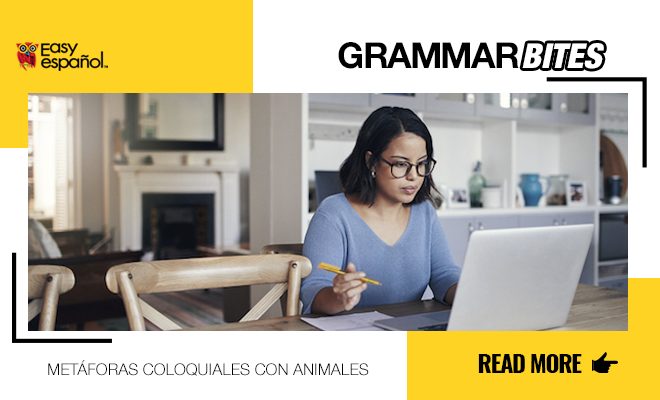 Metáforas coloquiales con animales - Easy Español