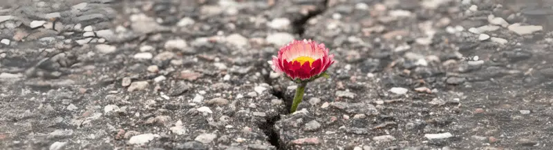 LA ESPERANZA ES LO ÚLTIMO QUE SE PIERDE -Spanish sayings - Refranes en español - Learn Spanish - Speak Spanish - Practice Spanish - Easy Español