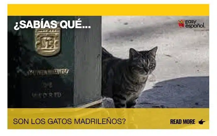 ¿Sabías que son los gatos madrileños? - Easy Español