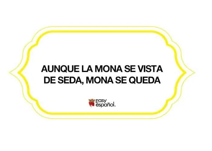 Saying of the day: Aunque la mona se vista de seda, mona se queda - Easy Español