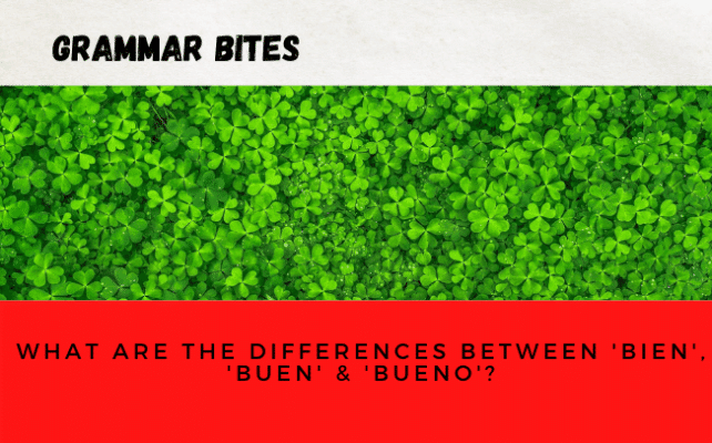 ¿Cuáles son las diferencias entre 'bien', 'buen' & 'bueno'? - Easy Español