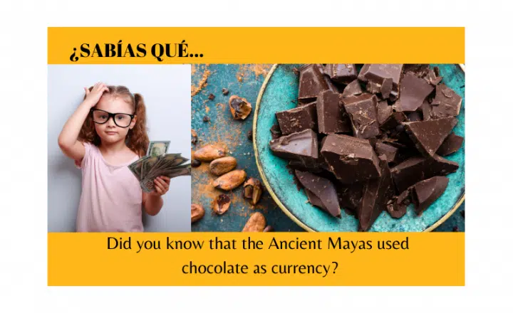 ¿Sabías que los Mayas usaban chocolate como moneda? - Easy Español