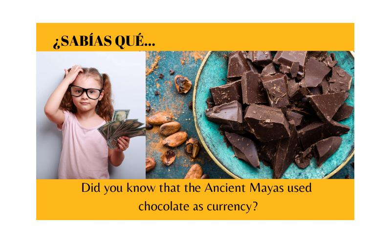 ¿Sabías que los Mayas usaban chocolate como moneda? - Easy Español