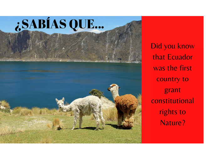 ¿Sabías que Ecuador fue el primer país del mundo en dar derechos constitucionales a la Naturaleza? - Easy Español