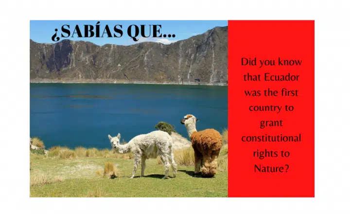 ¿Sabías que Ecuador fue el primer país del mundo en dar derechos constitucionales a la Naturaleza? - Easy Español