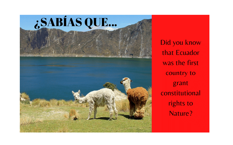 ¿Sabías que Ecuador fue el primer país del mundo en dar derechos constitucionales a la Naturaleza? - Easy Español