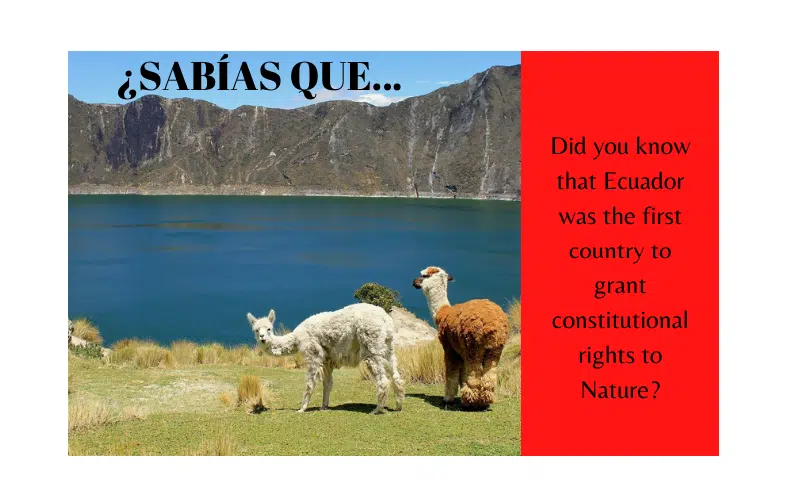 ¿Sabías que Ecuador fue el primer país del mundo en dar derechos constitucionales a la Naturaleza? - Easy Español