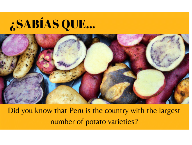 ¿Sabías que Perú tiene la mayor variedad de patatas? - Easy Español