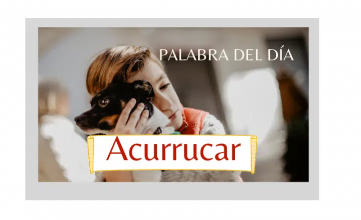 La palabra del día: Acurrucar(se) - Easy Español
