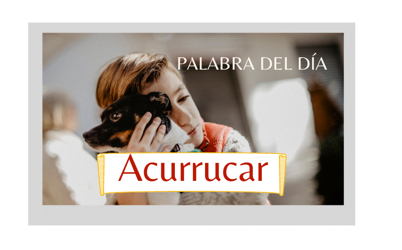 La palabra del día: Acurrucar(se) - Easy Español