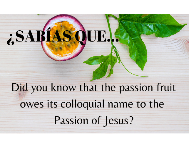 ¿Sabías que el nombre de la fruta de la pasión se debe a la Pasión de Cristo? - Easy Español