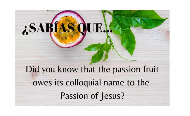 ¿Sabías que el nombre de la fruta de la pasión se debe a la Pasión de Cristo? - Easy Español