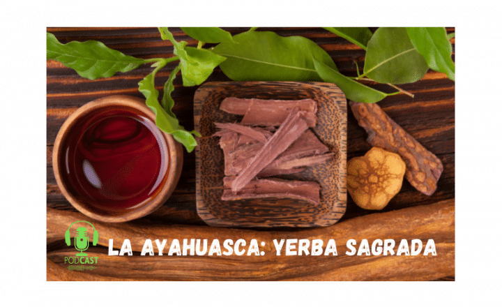 Easy Podcast: La ayahuasca, yerba sagrada - Easy Español