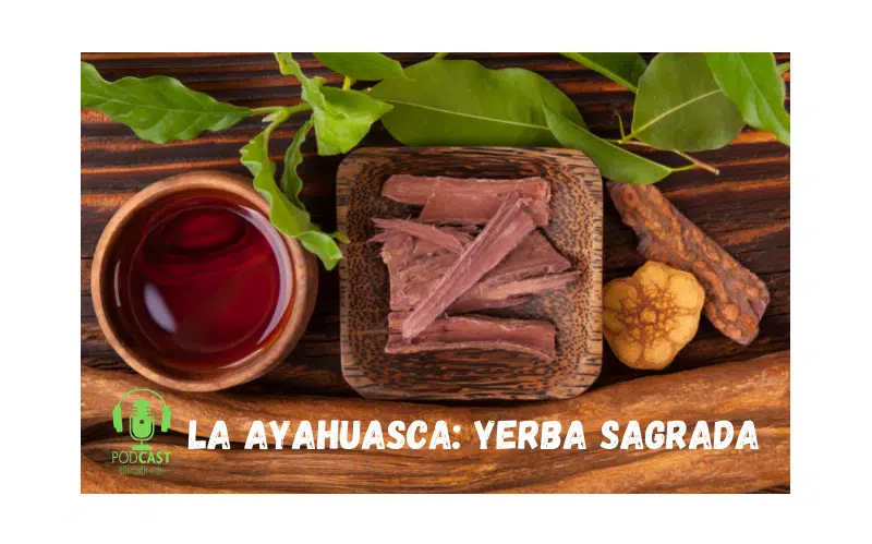 Easy Podcast: La ayahuasca, yerba sagrada - Easy Español