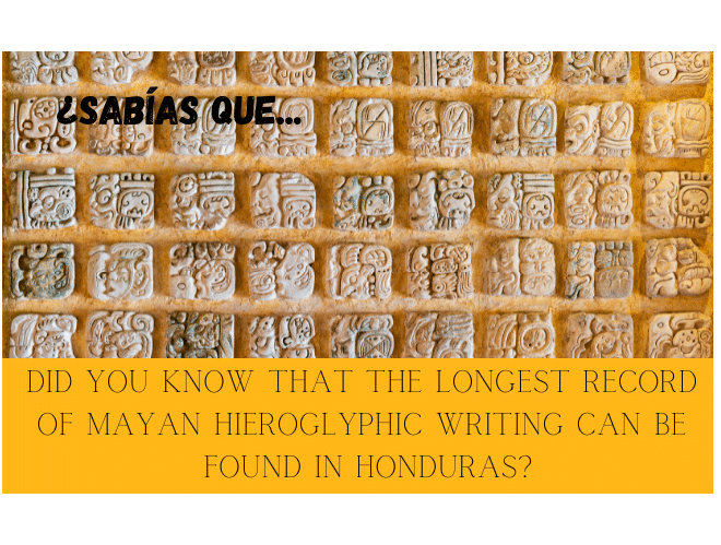 ¿Sabías que el jeroglífico maya más extenso se encuentra en Honduras? - Easy Español
