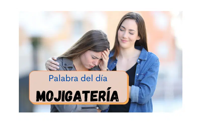 La palabra del día: Mojigatería - Easy Español