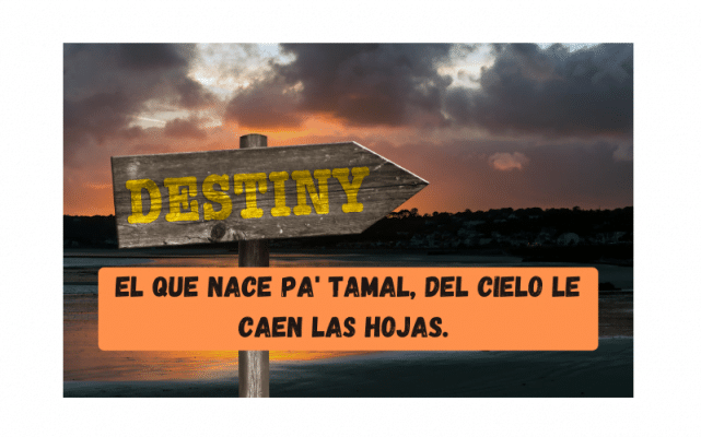 Saying of the day: El que nace pa' tamal, del cielo le caen las hojas - Easy Español
