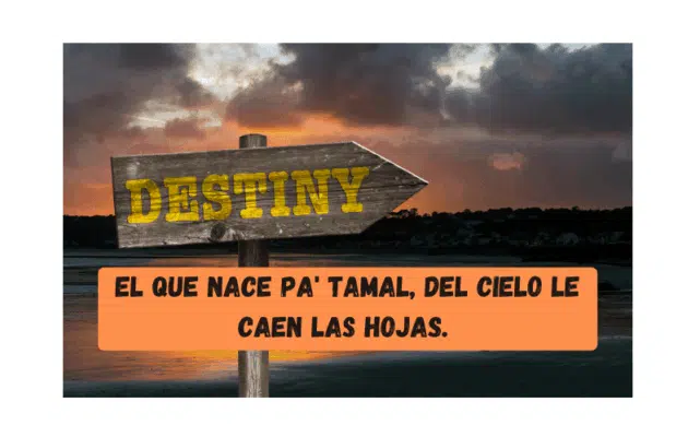 Saying of the day: El que nace pa' tamal, del cielo le caen las hojas - Easy Español