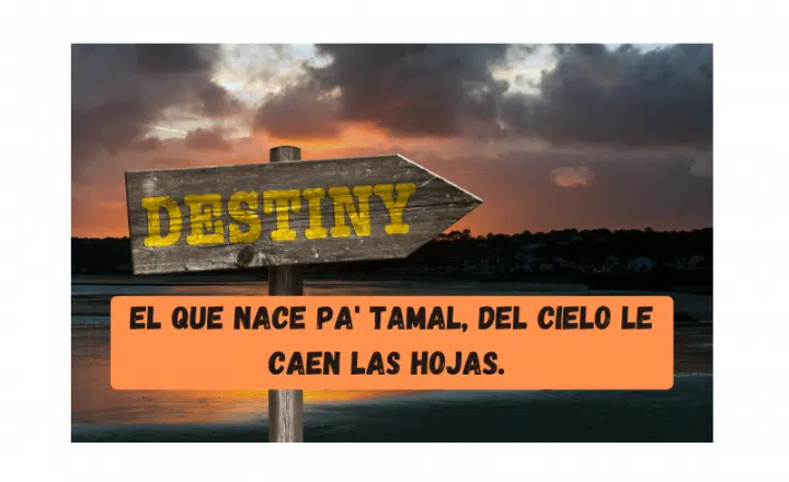 Saying of the day: El que nace pa' tamal, del cielo le caen las hojas - Easy Español