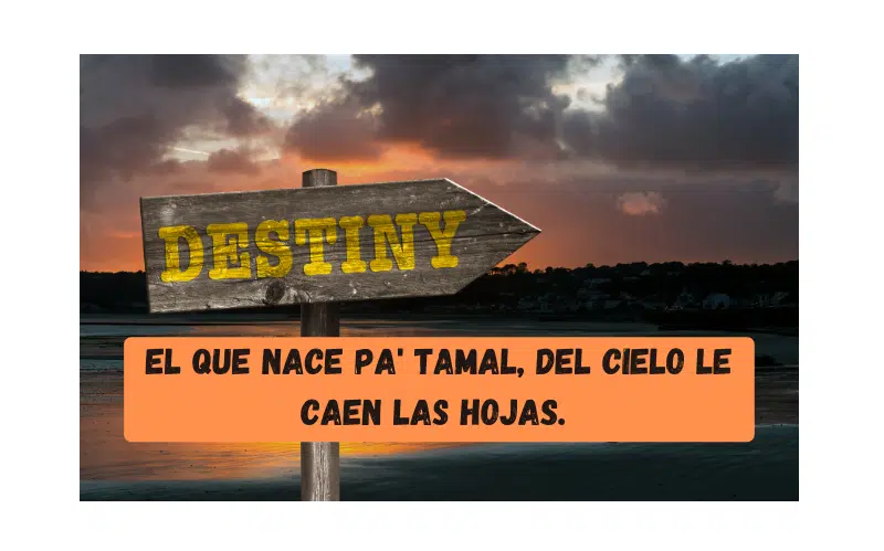 Saying of the day: El que nace pa' tamal, del cielo le caen las hojas - Easy Español
