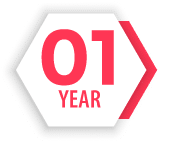 1 YEAR