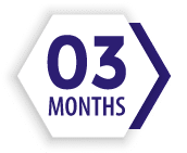3 MONTHS