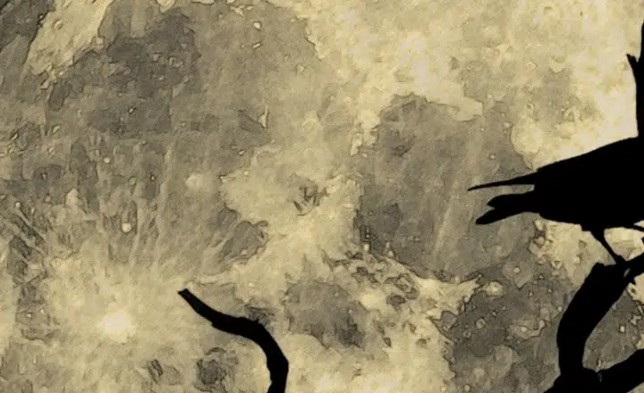 Spanish Saying of the day: Ser pájaro de mal agüero - Learn Spanish - Speak Spanish - Practice Spanish - Easy Español