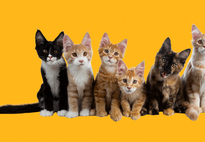 Casi siempre, a veces, de vez en cuando and other frequency phrases