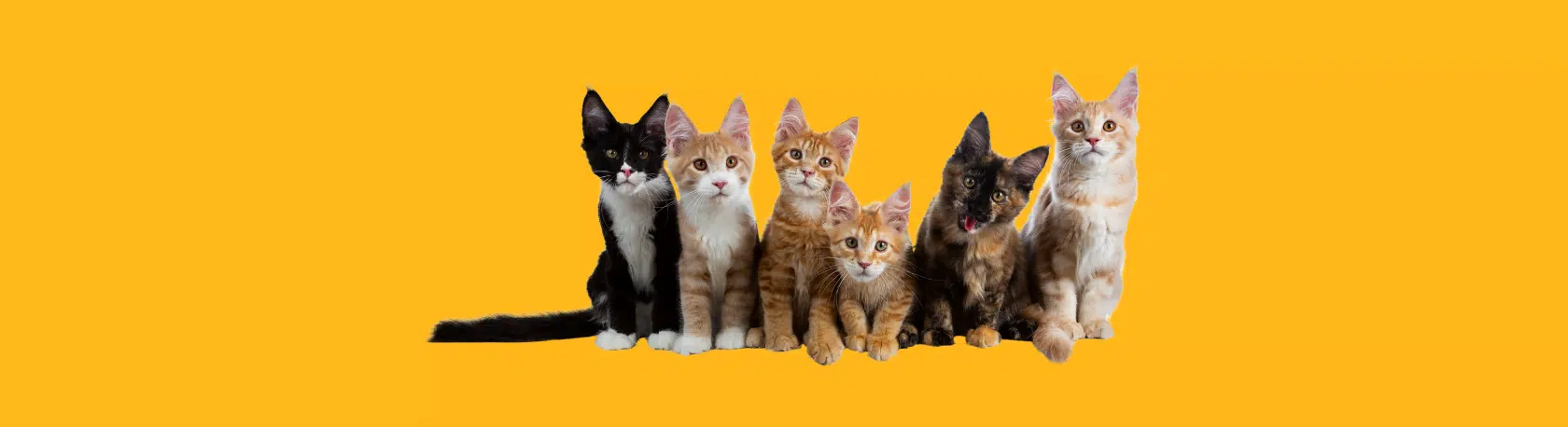 Casi siempre, a veces, de vez en cuando and other frequency phrases