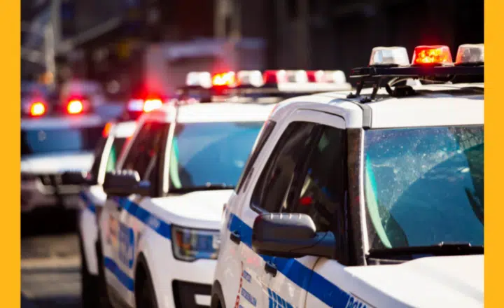 La palabra del día: Jara - Easy Español