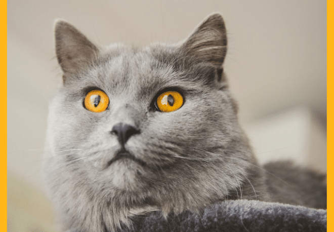 The tricky verb 'quedar' - Easy Español