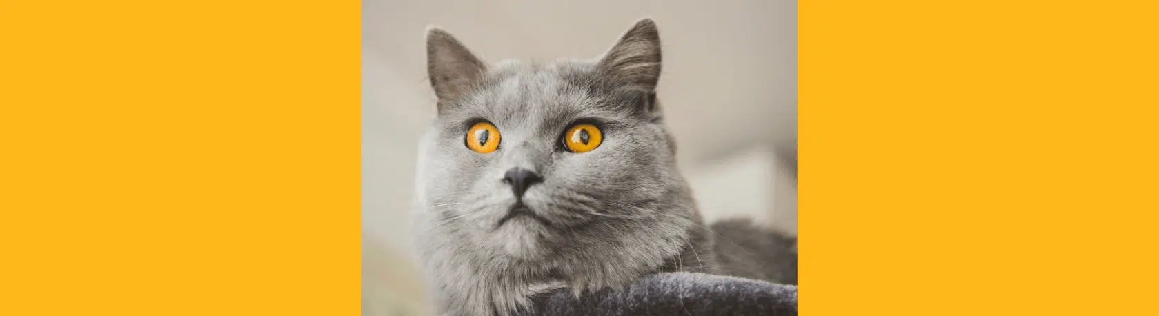 The tricky verb 'quedar' - Easy Español