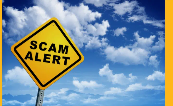 La palabra del día: Abudinear - Easy Español