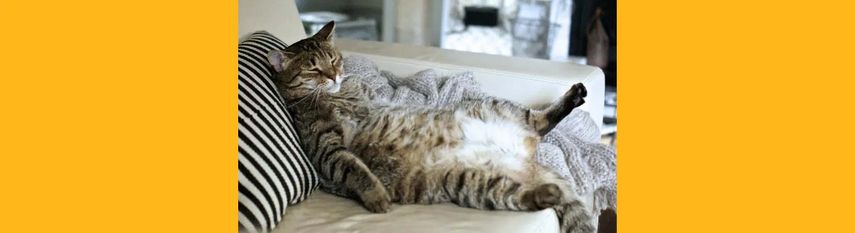 La palabra del día: Descuajeringado - Easy Español