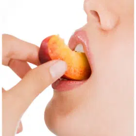 Los cinco sentidos - Gusto Los cinco sentidos - El gusto