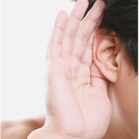 Los cinco sentidos - Oído
