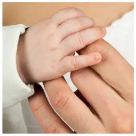 Los cinco sentidos - Tacto Los cinco sentidos - El tacto