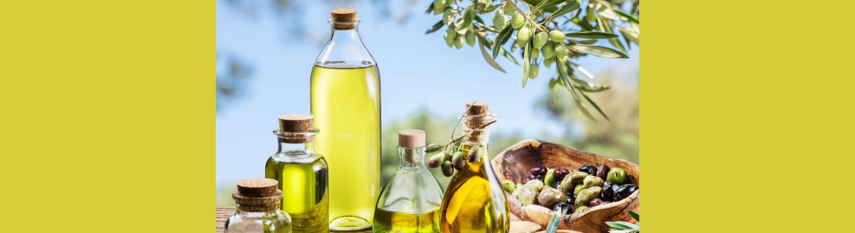 ¿Sabías que España es el productor más grande de aceite de oliva en el mundo? - Easy Español