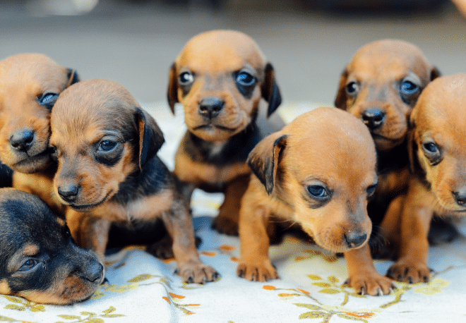 Adverbs of quantity: Mucho, nada, poco and more - Easy Español