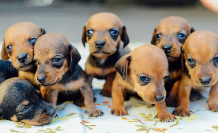 Adverbs of quantity: Mucho, nada, poco and more - Easy Español