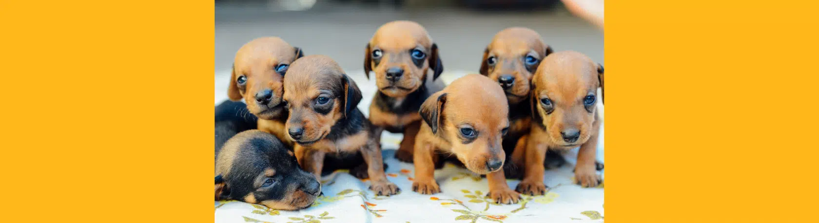 Adverbs of quantity: Mucho, nada, poco and more - Easy Español