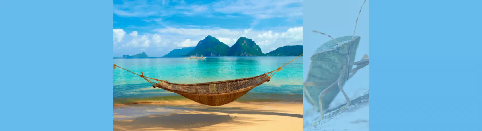 La palabra del día: Chinchorro - Easy Español