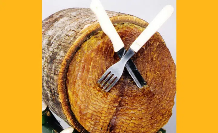 ¿Sabías que puedes comer madera en Argentina? - Easy Español