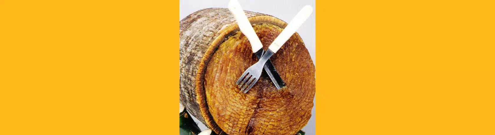 ¿Sabías que puedes comer madera en Argentina? - Easy Español