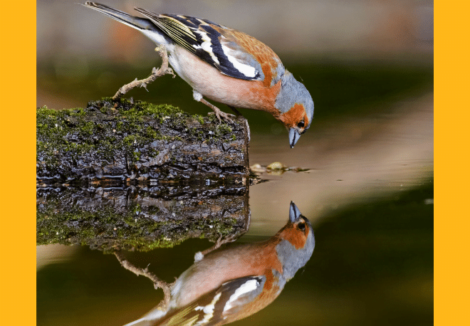 How do we use los verbos reflexivos? - Easy Español