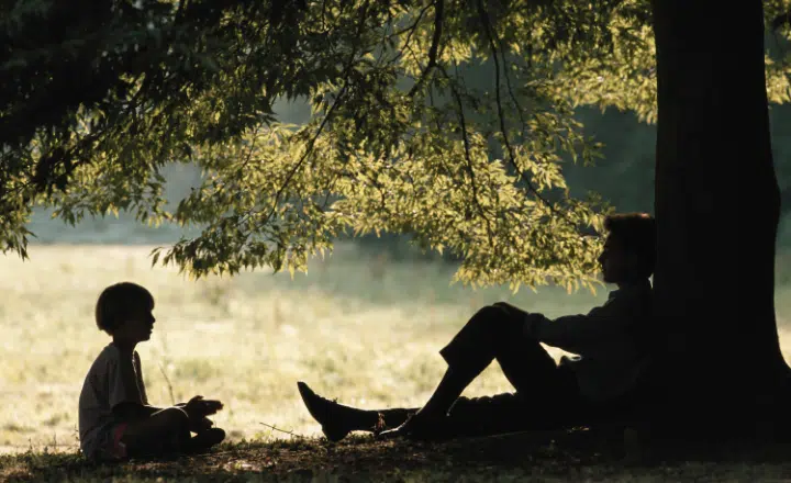 Saying of the day: Quien a buen árbol se arrima buena sombra le cobija - Easy Español