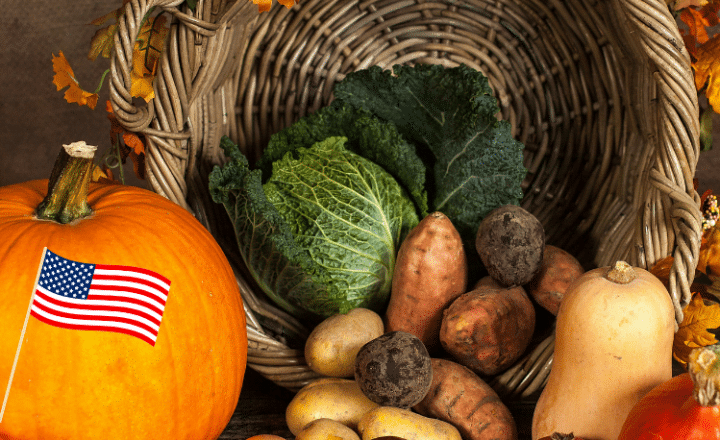 Easy Podcast: El primer Día de Acción de Gracias en Estados Unidos - Easy Español