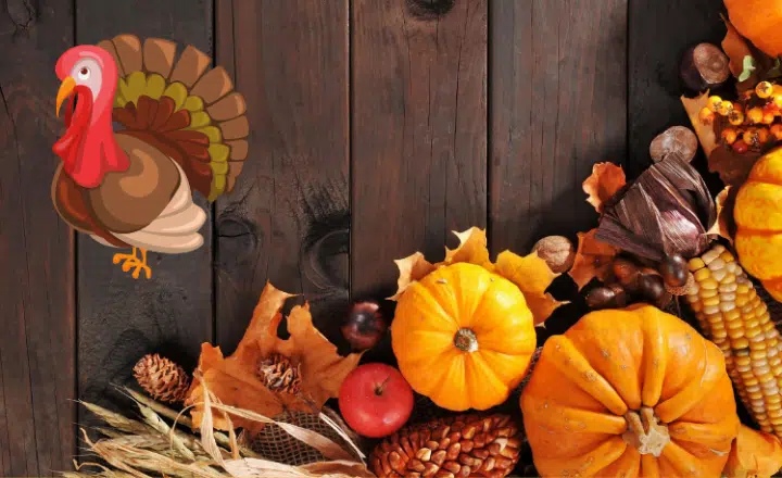 How do we talk about Thanksgiving en español? - Easy Español