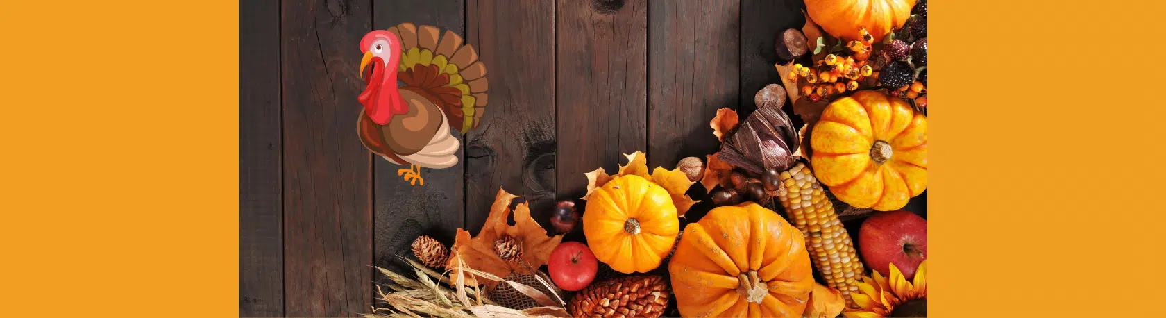 How do we talk about Thanksgiving en español? - Easy Español